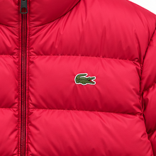 🐊 Puffer Jacket